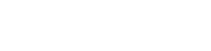 WerkAI